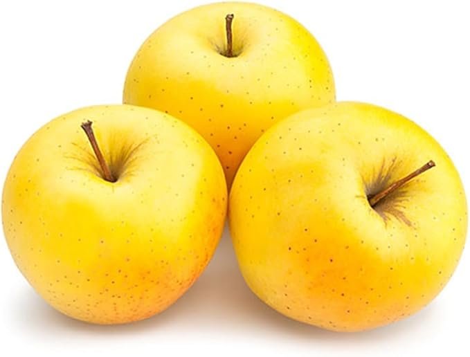 51eM5RigaLL._AC_SX679_