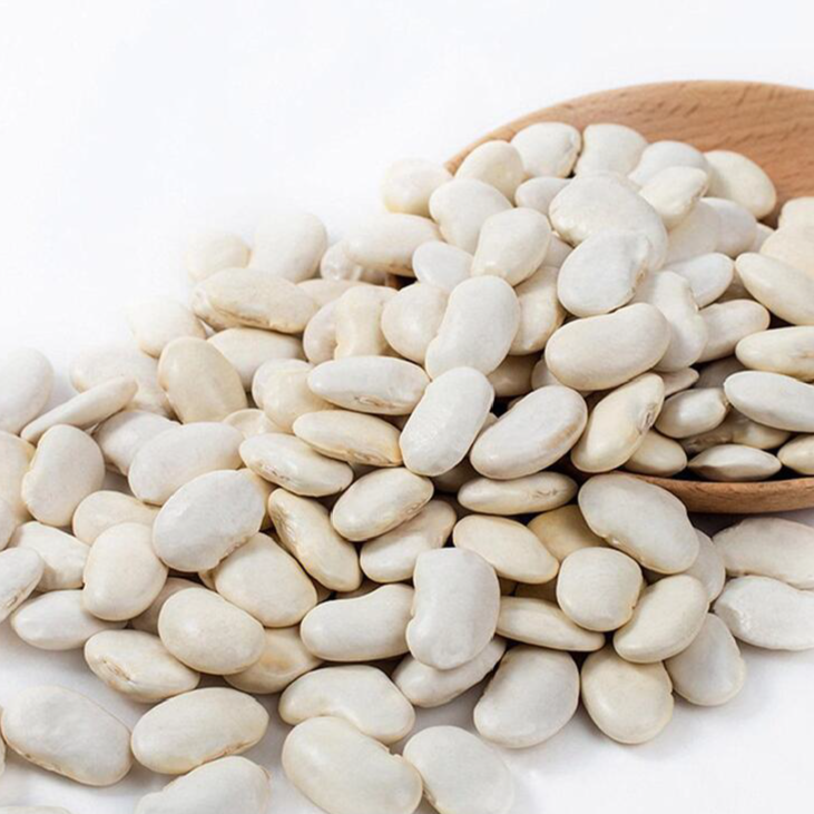 8rSD1MJOaSJroAEc7ZiuReWS0b31Ds5gMoihMFyN