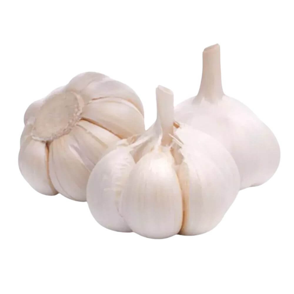 fresh garlic