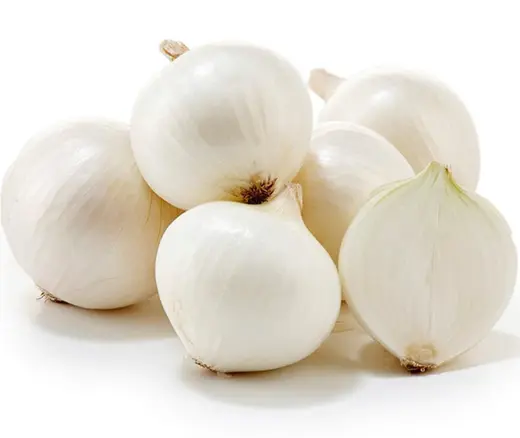 ONION WHITE