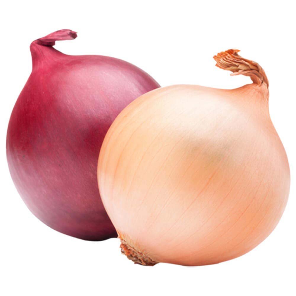 Onions-India Indian Red Onions