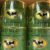 PURE BUTTER GHEE "1600g" - Image 2