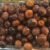 Apple Black olive - Image 2