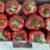 RED PEPPER BIG - Image 3