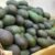 Lebanese Avocado - Image 3