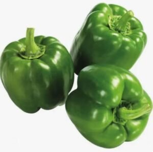 GREEN PEPPER BIG