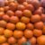 Spanish Clementine - Image 2