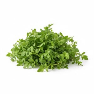 الرشاد الأخضر