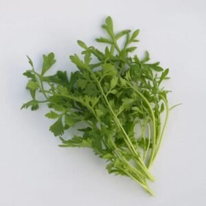 الرشاد الأخضر