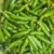 Cucumber - Image 2