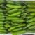 Lebanese Cucumber "shamsi" - Image 2