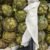 ARTICHOKE SY - Image 3