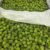 Green apricots "Qaraoun" SY - Image 2