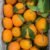 oranges SY - Image 2