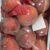 Syrian velvet peach "BOX" - Image 2