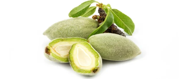 Syrian green almonds, "Awja"
