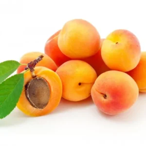 Turkish apricot