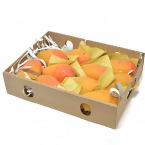 mango "BOX"