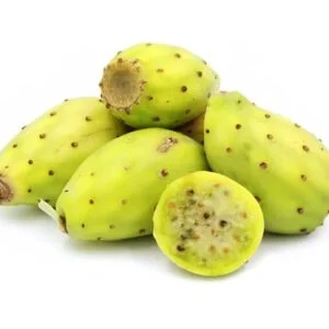 Jordanian cactus