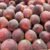 Syrian peach "velvet" - Image 2