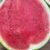 Turkish watermelon "seedless" - Image 2