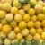 Yellow Peach "LEB" - Image 2