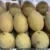Sweet Melon Jordan - Image 2