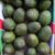 Avocado "BOX" - Image 2