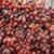 red grapes "Halwani" - Image 2