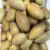 Chiko fruit - Image 2