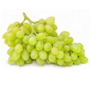 Lebanese grapes "Zeni"