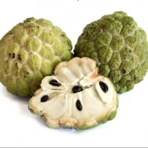 Lebanese cream