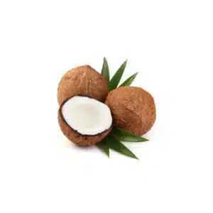 coconut