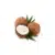 coconut - Image 1