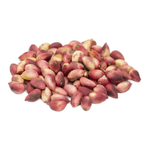 Fresh pistachios
