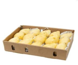 guava "BOX"