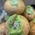 coconut - Image 2