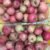 Hawthorn - Image 2