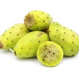 cactus SY