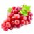 ⁦عنب سكارليت بدون بذور (Copy)⁩ - الصورة ⁦1⁩