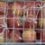 Lebanese apple "BOX" - Image 3