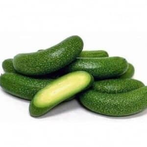 small seedless avocado "LEB"