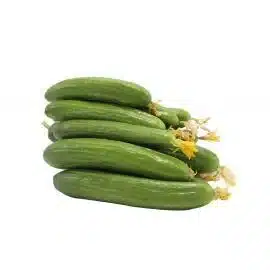 Lebanese Cucumber "shamsi"