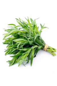 Tarragon