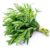 Tarragon - Image 1