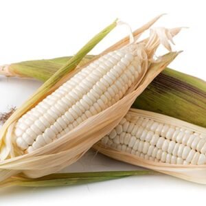 white peeled corn