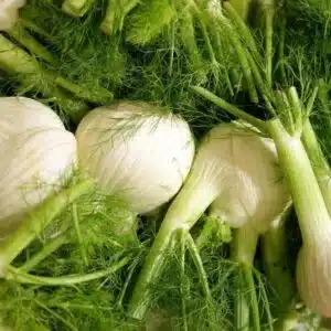 fennel LEB