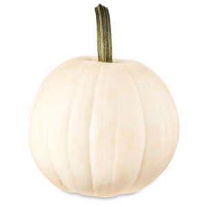 White squash