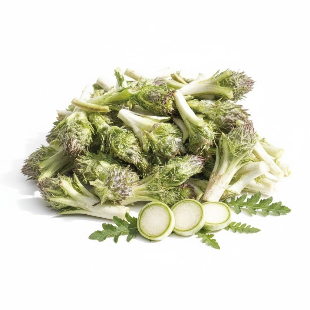 WhatsApp Image 2026-02-03 at 11.53.26 PM