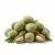 Green Almonds - Image 1
